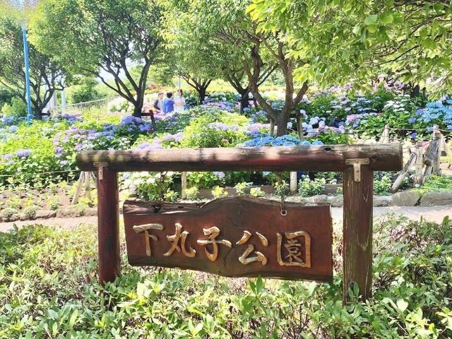 公園