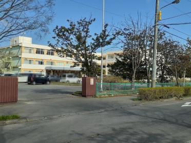 泉野小学校：450m