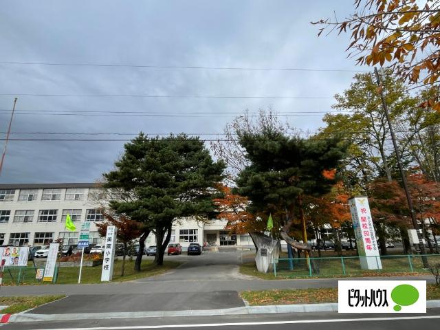 苫小牧市立美園小学校：1033m
