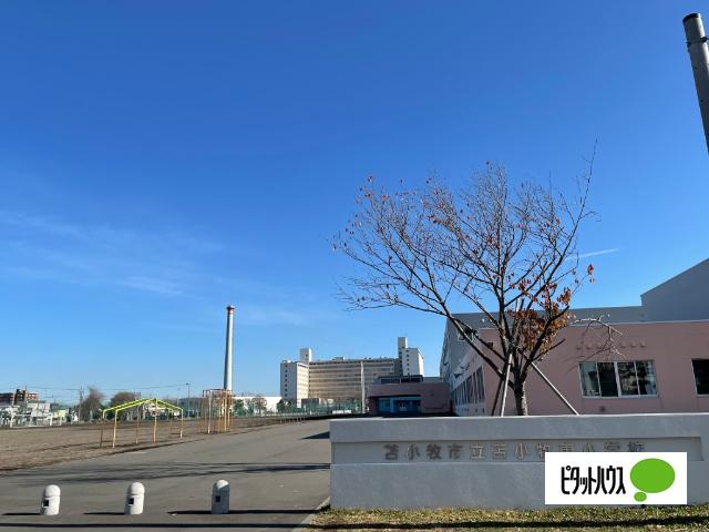苫小牧市立苫小牧東小学校：737m
