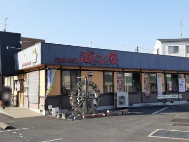 道とん堀川口安行店：517m