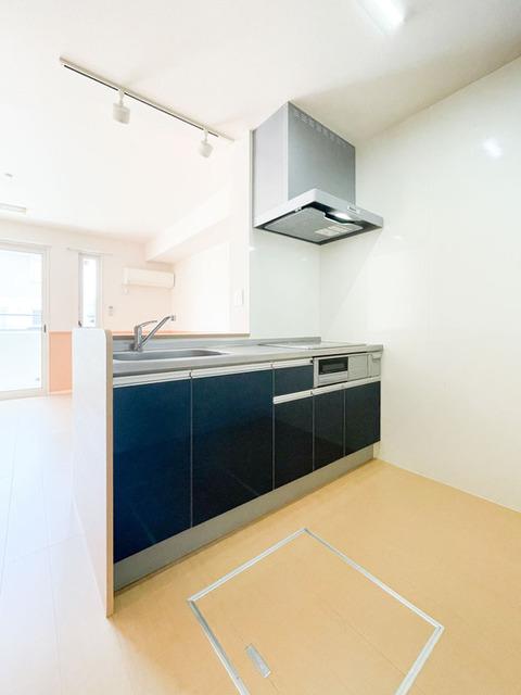 ハウスオブシャイン（102） 部屋画像