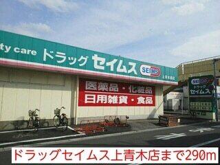 ドラッグセイムス上青木店：290m