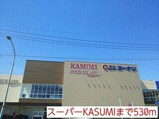 スーパーKASUMI：530m