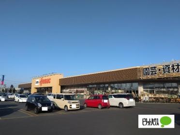 DCMホーマック木場店：1241m