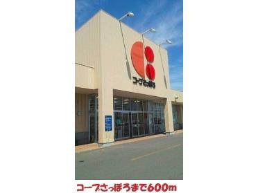 コープさっぽろ星が浦店：600m