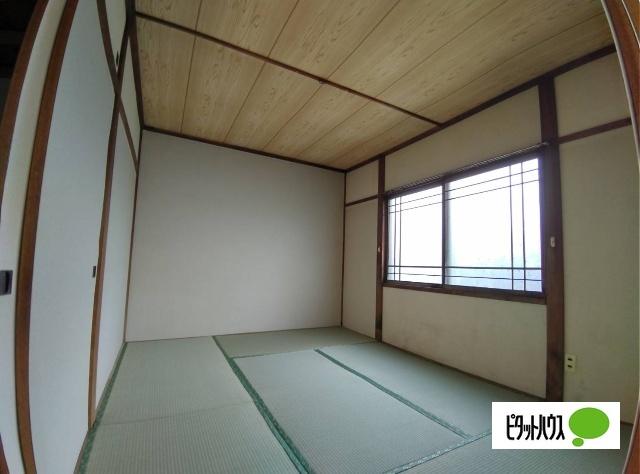 オリーブ（5） 部屋画像