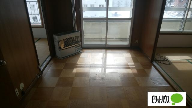 若草501マンション（2-8） 部屋画像