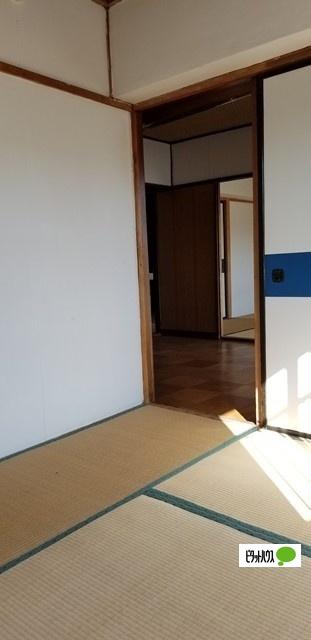 若草501マンション（4-3） 部屋画像