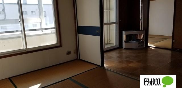若草501マンション（4-3） 部屋画像