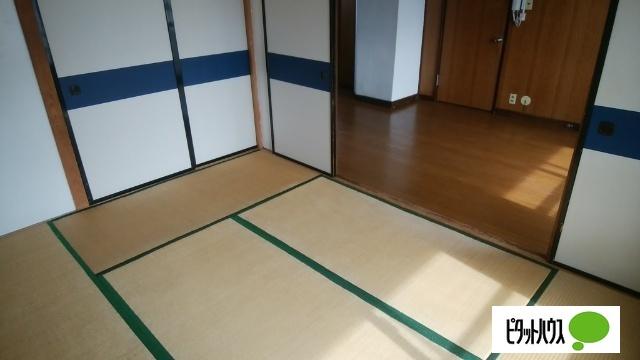 若草501マンション（3-8） 部屋画像