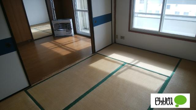 若草501マンション（3-8） 部屋画像
