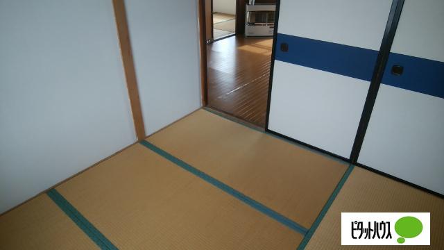 若草501マンション（3-8） 部屋画像