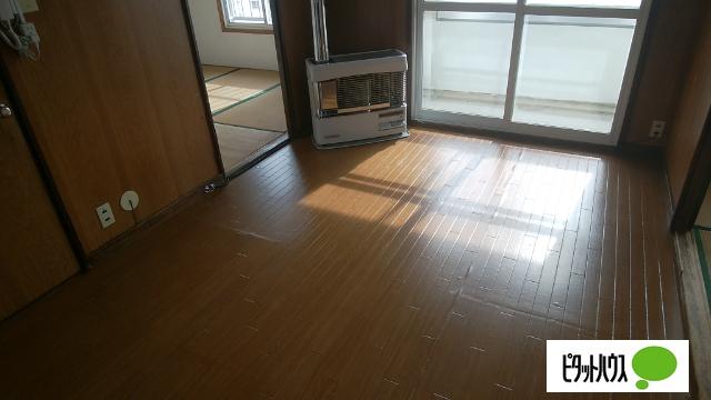 若草501マンション（3-8） 部屋画像