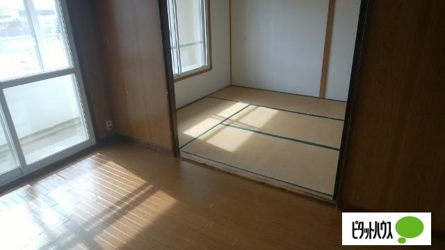 若草501マンション（3-8） 部屋画像
