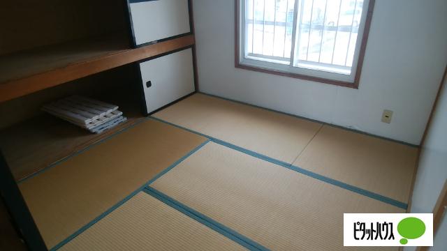 若草501マンション（3-8） 収納