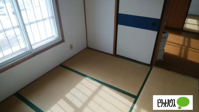 若草501マンション（3-8） その他部屋・スペース