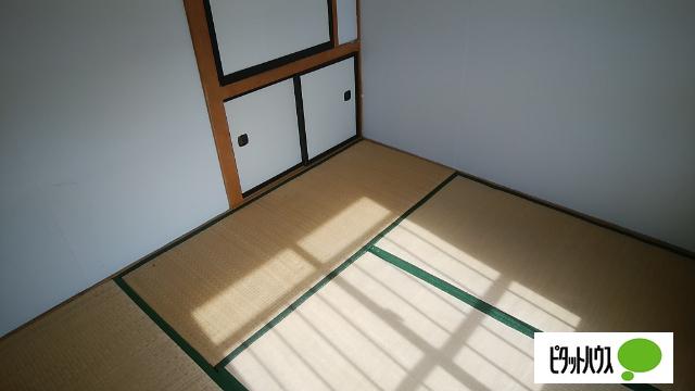 若草501マンション（2-8） 部屋画像
