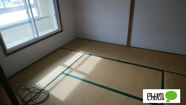 若草501マンション（2-8） その他部屋・スペース