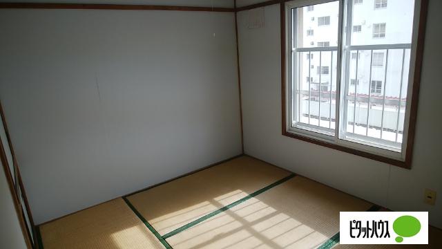 若草501マンション（2-8） 部屋画像