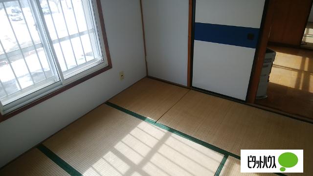 若草501マンション（2-8） 部屋画像