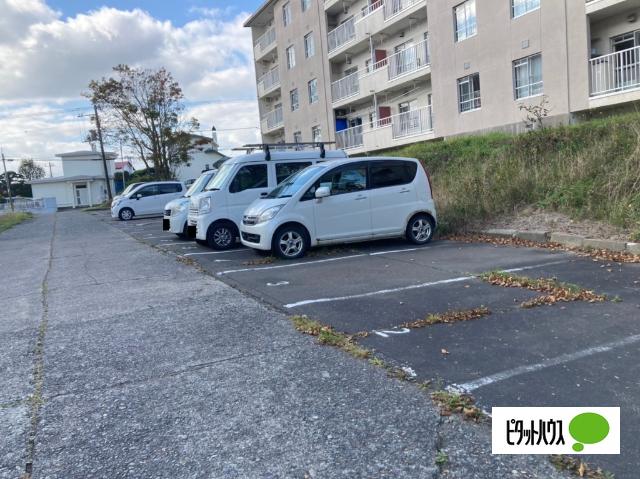 若草401マンション（4-1） 駐車場