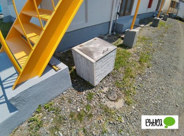 オリーブ（5） その他