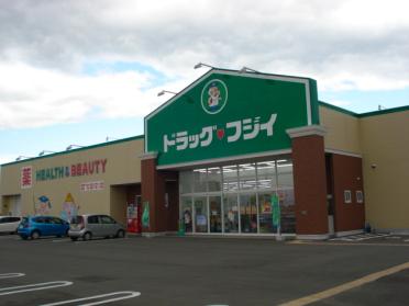 ドラッグフジイ下大久保店：540m