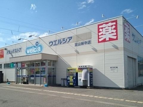 ウエルシア富山婦中店：900m