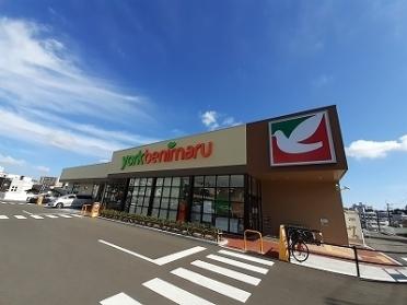 ヨークベニマル小松島店：950m