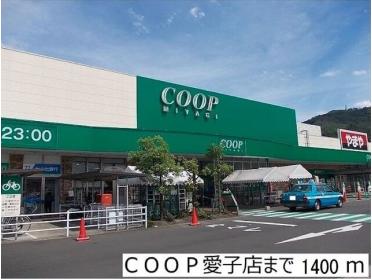 ＣＯＯＰ愛子店：1400m