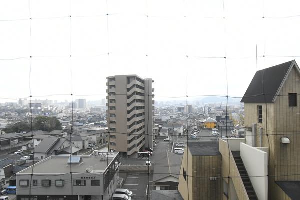 ヴィレッジ皆好園 その他