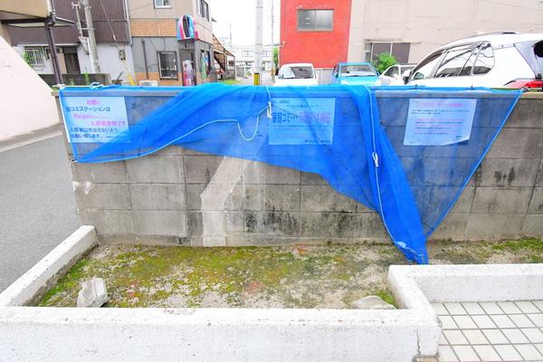 Regalo その他