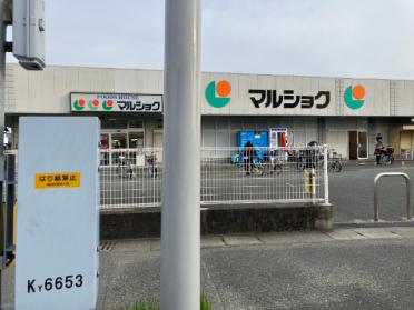 マルショク諸岡店：1237m