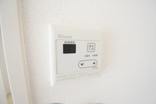 プラチナスタイル その他