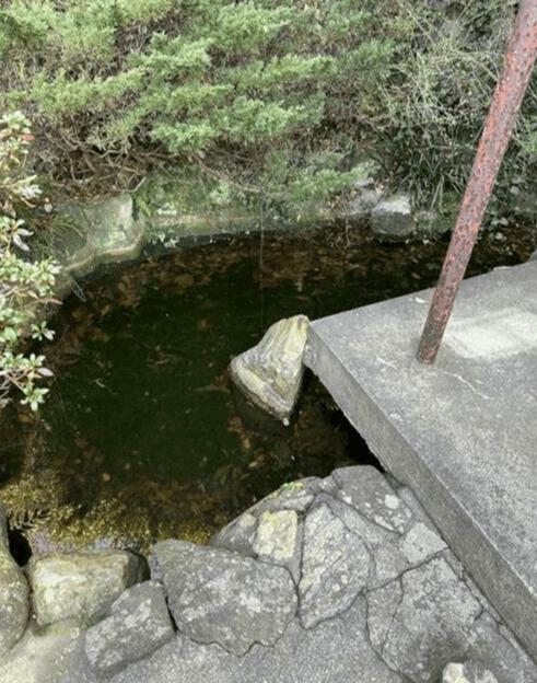 北九州市門司区春日町一戸建 庭