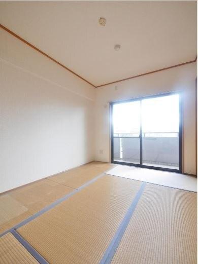 ソフィア その他