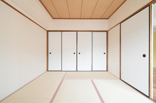 クレベール社ノ木 その他