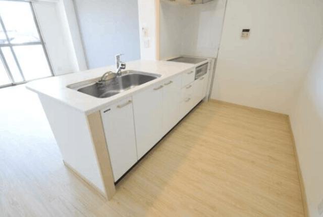 ニューガイア高野 キッチン