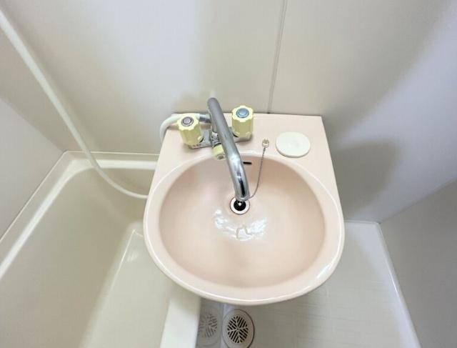 ロイヤルトレンディ 洗面