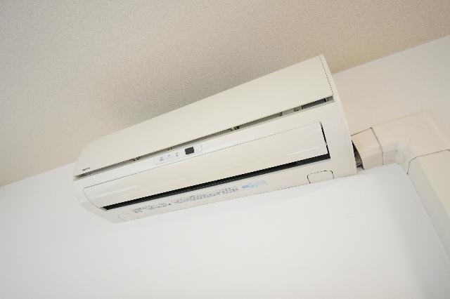 オールセインツ その他