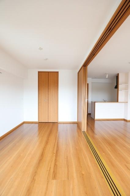 ドミール板付ＭⅤ（501） その他部屋・スペース