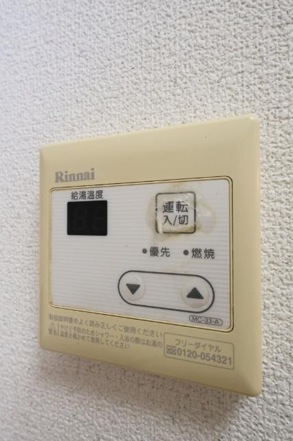 アズーロ高峰 その他