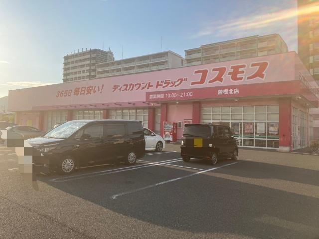 ディスカウントドラッグコスモス曽根北店：711m