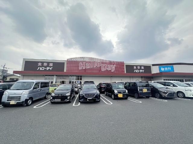 ハローデイ井堀店：246m