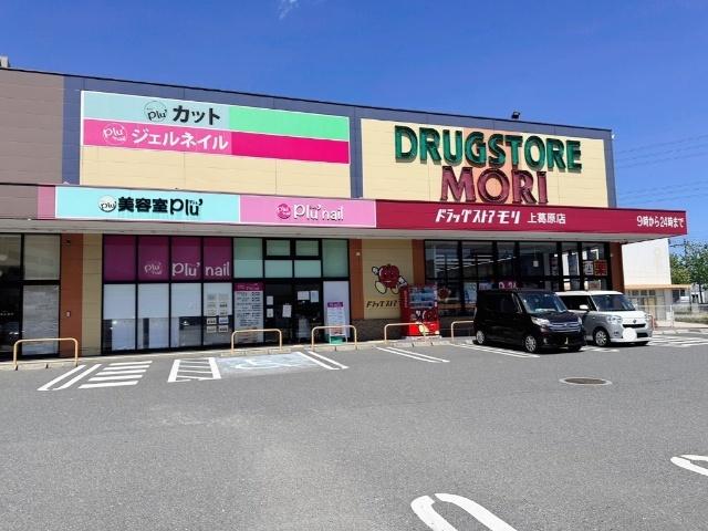 ドラッグストアモリ上葛原店：1249m