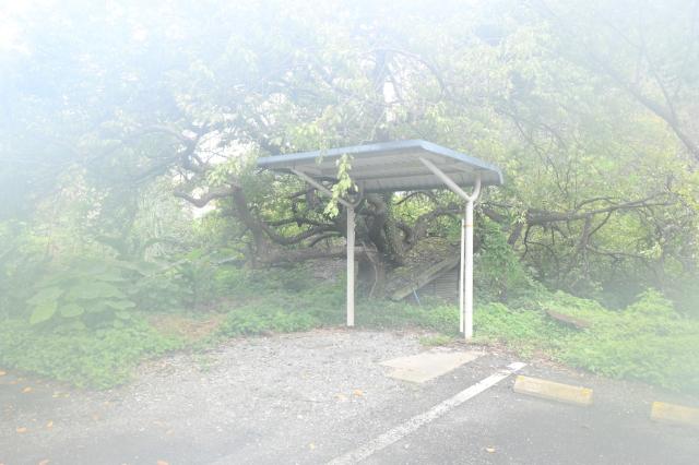 カメリアⅡ 共有部分