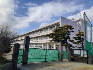 石巻市立渡波小学校：900m