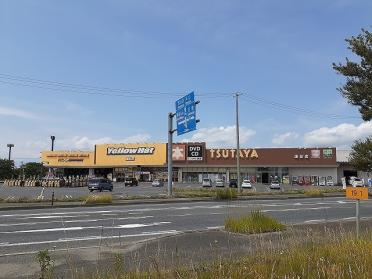 TSUTAYA涌谷店：900m