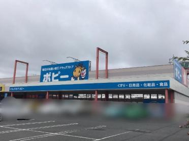 ドラッグストアポピー石巻河北店：206m